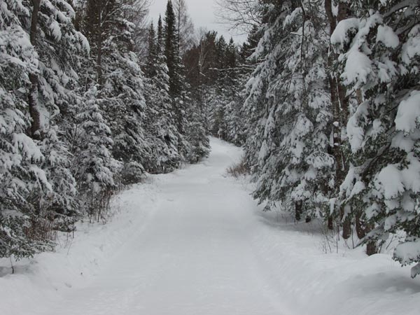 http://thebarefootrunners.org/sites/default/files/area_snow.jpg